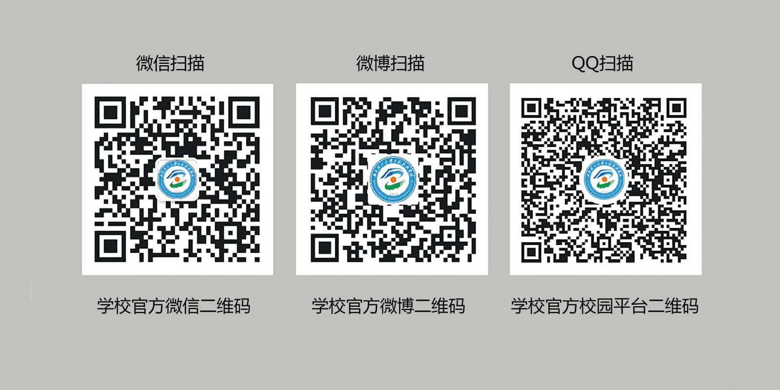 1557794523982088931.jpg